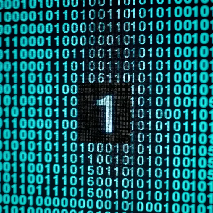 Understanding Binary Numbers: A Simple Guide